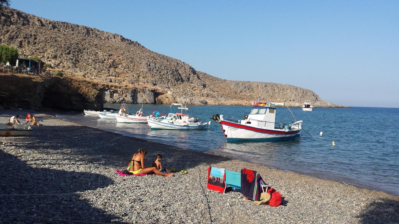 καλλίοπη Ξηρόκαμπος