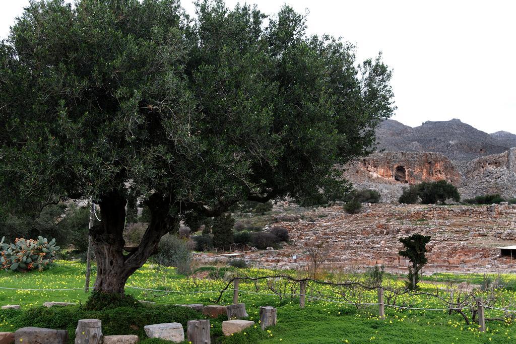 Kalliopi ιncreteble Cretan Resindences Collection