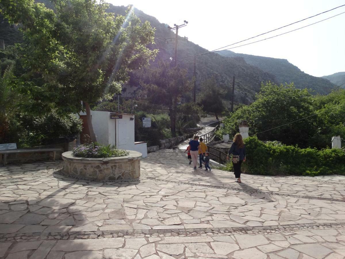 Kalliopi ιncreteble Cretan Resindences Collection Xerokampos (Crete)